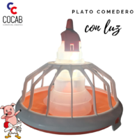 PLATO COMEDERO CON LUZ